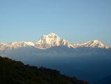 Poon Hill 22 Dhaulagiri VI, IV, V, III and II, Dhaulagiri and Tukuche Peak Just After Sunrise
